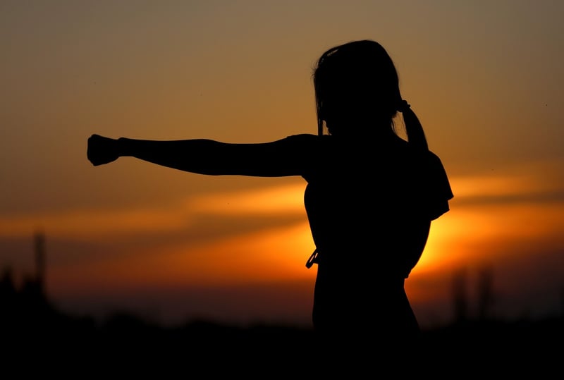 Chen Style Chinese Martial Arts